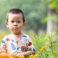 深圳试管的医院 2023年深圳北大医院做三代试管费用多少? ‘怀孕38天b超单怎么看男女图片’