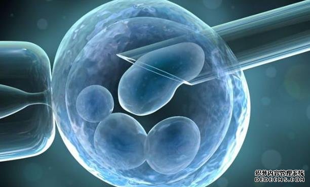 试管婴儿长大后具备生育能力吗？答案也许让人感到意外