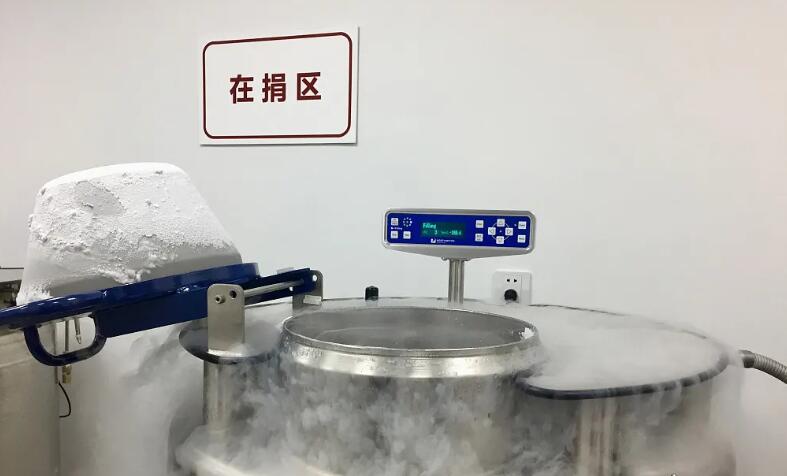 湖南三胎生育津贴2022年最新政策 湖南能做供卵试管的医院都有哪家，新鲜出炉湖南供卵试管医院排名前五 ‘b超男女孩图像’