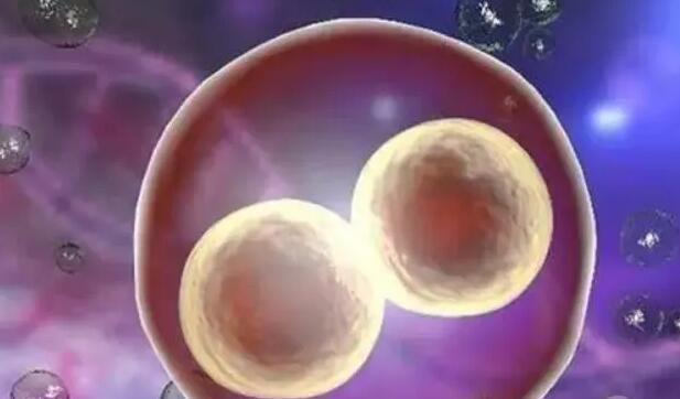 合肥第三代试管婴儿费用需要多少钱？