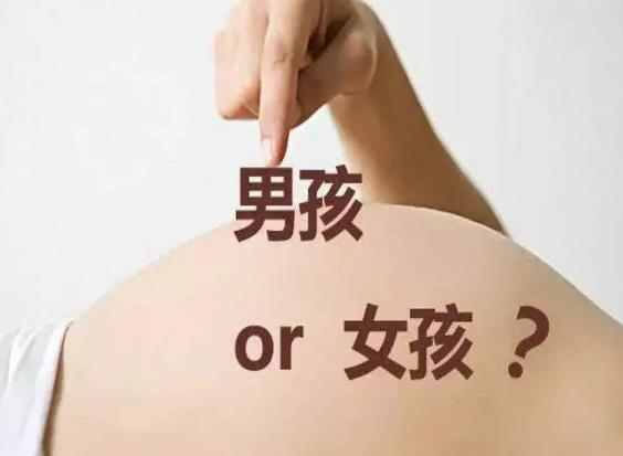 福州代怀机构公司 福州供卵试管前三医院排名 ‘b超两腿用黄色表示,怀的是男宝还是女宝宝’