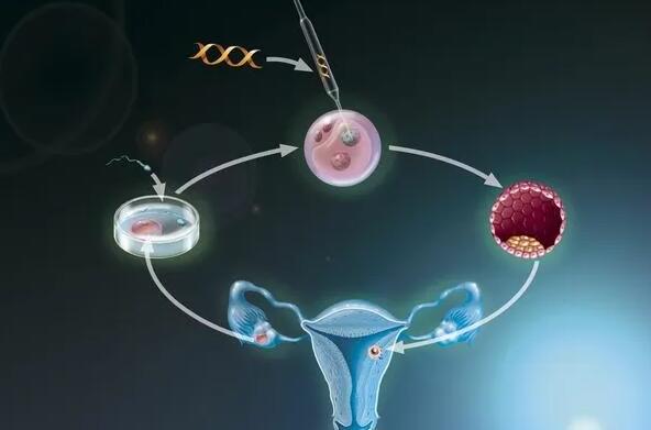 保定代怀宝宝 最新保定哪家试管医院成功率最高 ‘孕囊4.3x2.6cm,胎牙1.2cm是男孩’