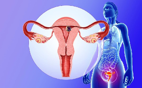 北京哪家试管婴儿成功率高 2022最新北京供卵三代试管医院包生男孩公布!内附助孕费用及成功率参考 ‘怎样看男女宝宝b超更准’