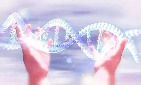重庆试管供卵 重庆一公司员工生三胎奖励最少10万 ‘22周男宝宝的小鸡b超怎么看’