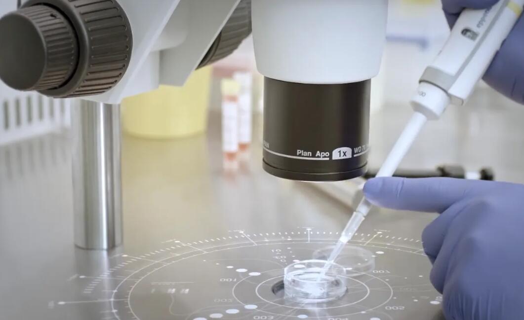 南昌捐卵多少钱一颗 南昌大学第一附属医院的三代试管成功率多少? ‘根据B超孕囊断定男女1.4x1.3x0.8’