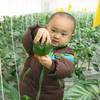 打夜针后吃什么水果比较好？_04835