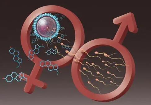 南昌试管助孕 2022南昌人工授精生男孩医院排名，附试管成功率、费用 ‘b超如何测男女’
