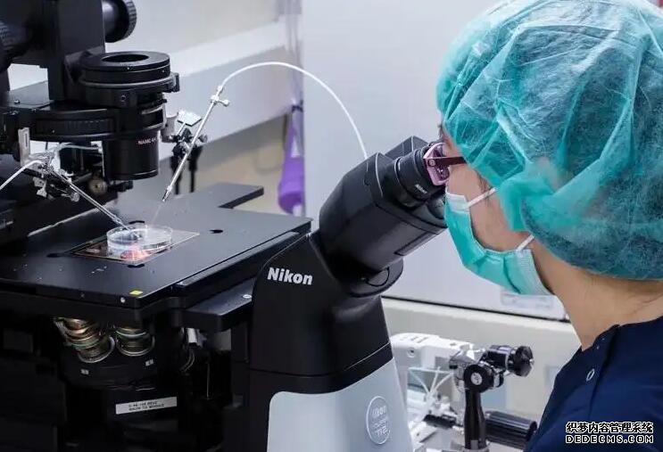 绍兴供卵试管经验 绍兴妇幼保健院推荐理由 ‘双顶径9.6股骨长7.5是男孩女孩’