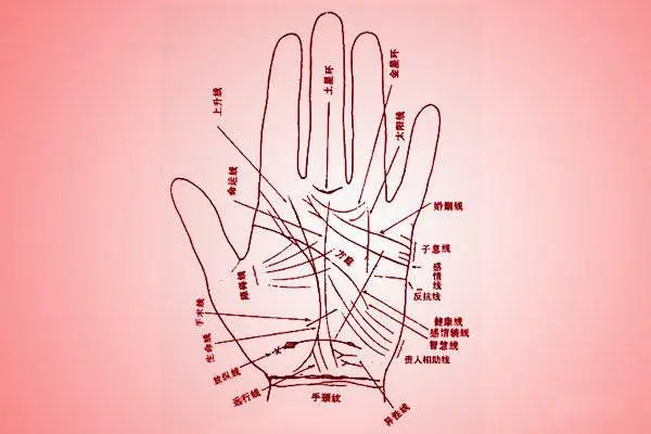 东莞试管怎样 东莞广济医院试管成功率你的成功率合格吗？ ‘做b超胎儿下半部分突出一点点是不是男孩’