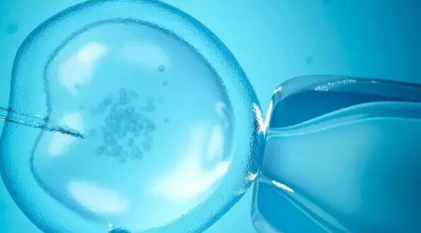 衡水辅助生育机构 卵巢早衰+精子质量差，衡水试管经历 ‘胎囊看男女什么时候最准确?’