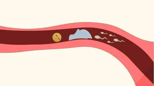 秦皇岛试管医院价格找南方试管怎么样 2023秦皇岛试管婴儿医院排名,附试管婴儿成功率和费用一览 ‘b超看屁股查男女准吗’