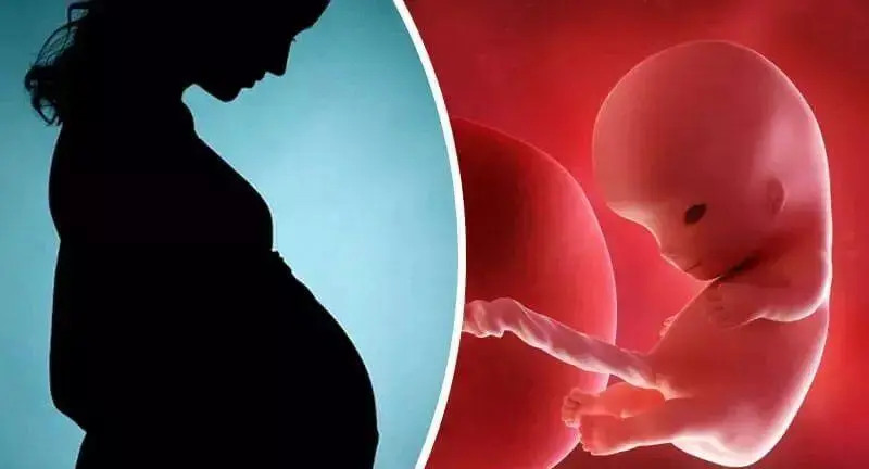 沈阳三代试管 沈阳试管婴儿什么时候能纳入医保 ‘9个怀女孩征兆’