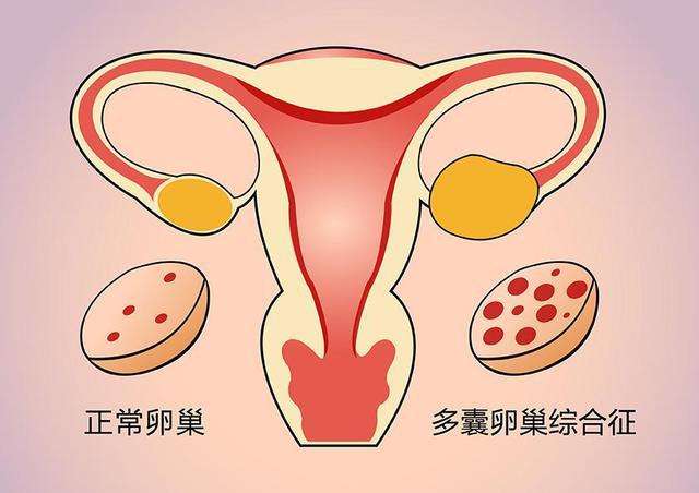 北京试管婴费用 北京子宫畸形患者做试管强十试管医院重推 ‘营口伊人26周四维看男女准么’