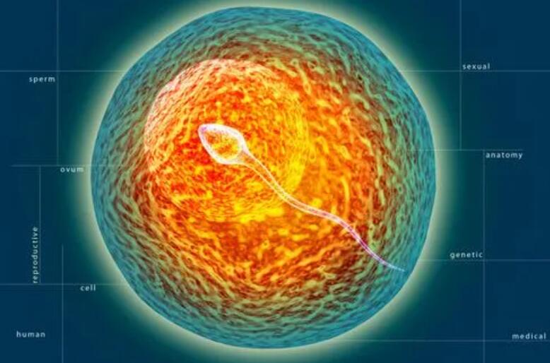 贵阳三代试管婴儿医院哪个最好？