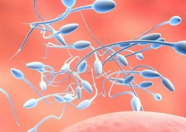 青岛三代试管 青岛试管婴儿交流群帮你解开试管婴儿误区 ‘营口伊人26周四维看男女准么’