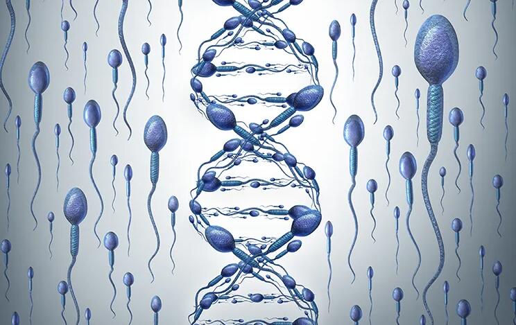 福州找人代孕产 福州供卵试管试管婴儿的医院排名，附成功率费用参考？ ‘孕囊看男宝还是女宝准吗’