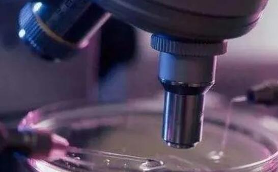 烟台试管供卵 烟台女性不孕不育治疗要了解什么？为什么成功率各不相同？ ‘酒精测男女非要晨尿吗’