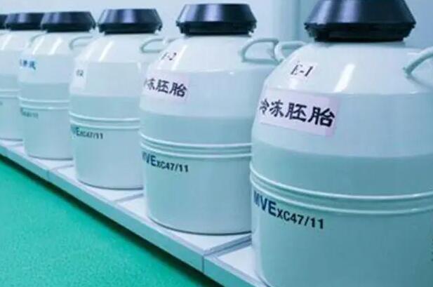 上海供卵机构排行 上海试管费用明细以及流程 ‘孕囊1.6*2.6是男孩还是女孩’
