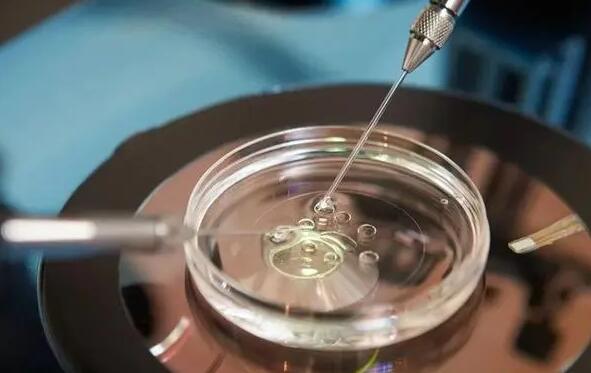 试管婴儿流程中取卵后一周可以同房吗？过早同房的危害如下