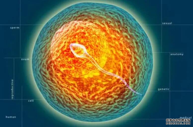 乳腺结节吃什么食物好？常吃这7种食物对身体好