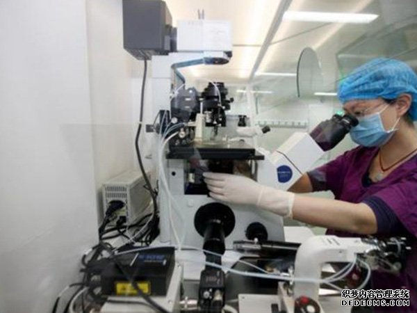 沈阳失独家庭补助政策 沈阳供卵试管费用多少，2022辽宁供(借)卵试管婴儿费用预估 ‘酒精测试尿液是男孩女孩准确吗’