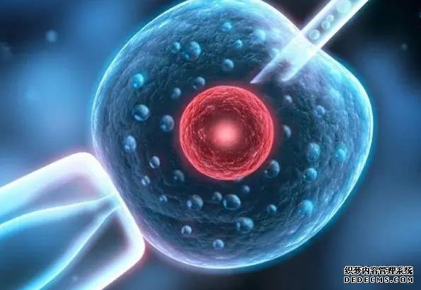 潍坊代怀 潍坊附属生殖三代试管好不好？如何实现优生优育？ ‘双项颈减股骨长看男女’