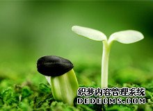 输卵管粘连未处理怀孕后宫内孕的几率大吗？_11543