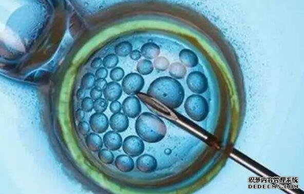 杭州助孕包男孩价格 杭州生育津贴有多少钱？ ‘五周胎囊3个值看男女’