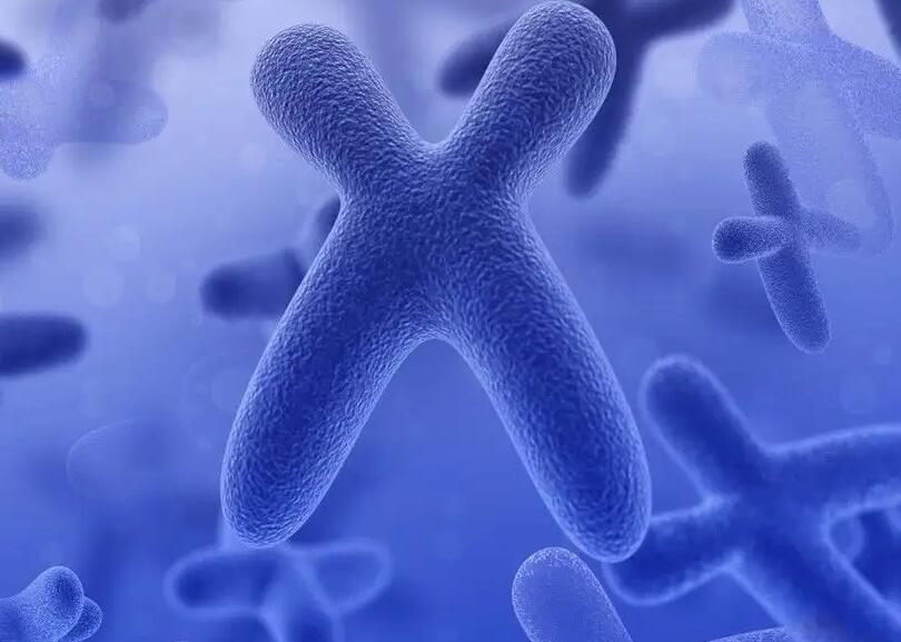 杭州三代试管婴儿费用总共多少？