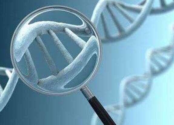 试管婴儿过程中如果精子畸形，孩子会畸形吗?