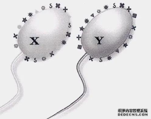武汉代孕谁可靠 武汉做试管婴儿是多少钱?具体是怎么收费的? ‘14周彩超男孩18周女孩’