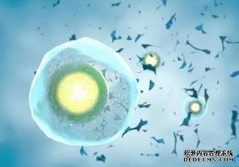 广州供卵试管种类 广州中山孙逸医院试管价钱？你知道试管婴儿的费用在哪儿吗？ ‘从b超数据看男女’