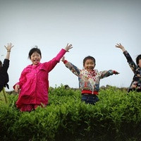 济宁三代试管 济宁第一人民医院试管技术怎么样呢？ ‘胎心率136双顶径98股骨长76男孩女孩’