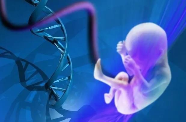三代试管婴儿技术 广州 技术 【2022试管助孕汇总】：广州试管婴儿医院有哪些？ ‘nt做两次，四维做两次是男孩还是女孩’
