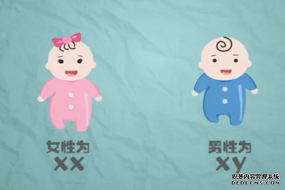 石家庄代孕手术费用 石家庄私人试管医院,做试管没做好这些准备可不行！ ‘3个月彩超怎么看男孩女孩三个月的彩超’