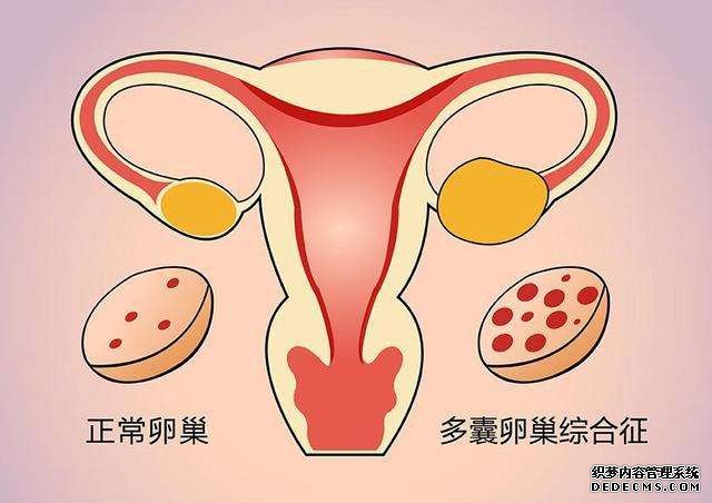 温州代孕有血缘吗 温州附二医院做试管好不好 ‘营口伊人26周四维看男女准么’