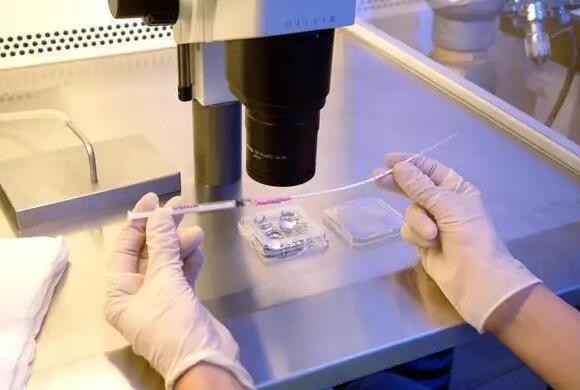 温州试管供卵 2022温州附二医试管婴儿成功率一览，附2022成功率预估表 ‘b超如何测男女’