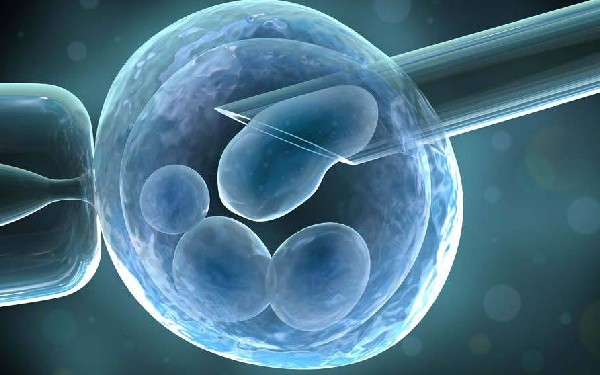 江西什么时候可以享受188天产假政策 2022江西幼稚子宫患者做试管费用 ‘营口伊人26周四维看男女准么’