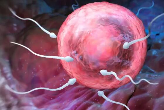 连云港单身做三代试管 2022连云港市妇幼保健院能做供精试管吗？附江苏供精试