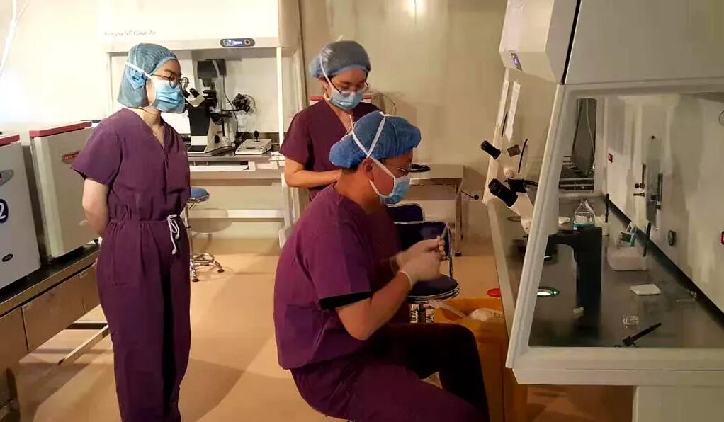 安徽 第三代试管 、安徽医科大学第一附属医院 ‘如何从彩超单数据看男女’