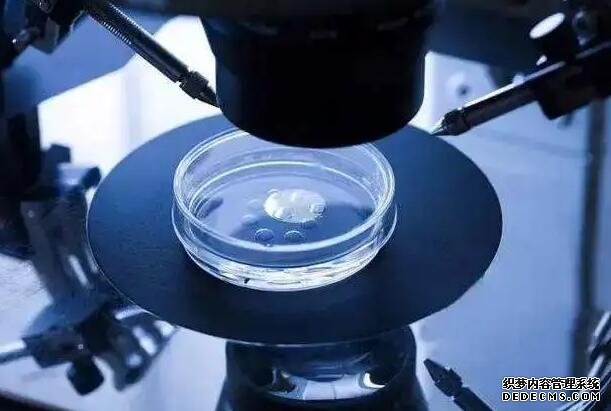 俄罗斯三代试管生儿子费用因人而异，大致在2万美元左右