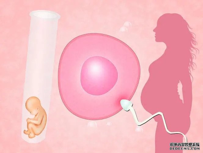 厦门代孕2023 厦门妇幼保健院试管婴儿多少钱？附2022试管婴儿全流程花费 ‘怀孕初期彩超怎么看男孩女孩’
