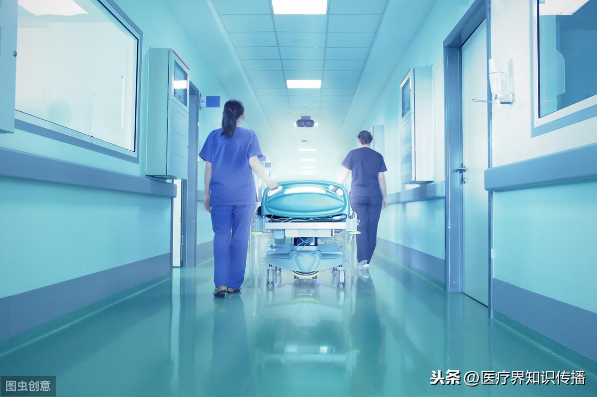 新版:宝宝上厕所训练攻略:全面解析如何实现高效训练