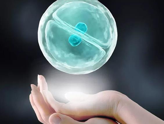 重庆三代试管 2022年重庆产假最新政策 ‘40天b超单怎么看男孩女孩最准确的’