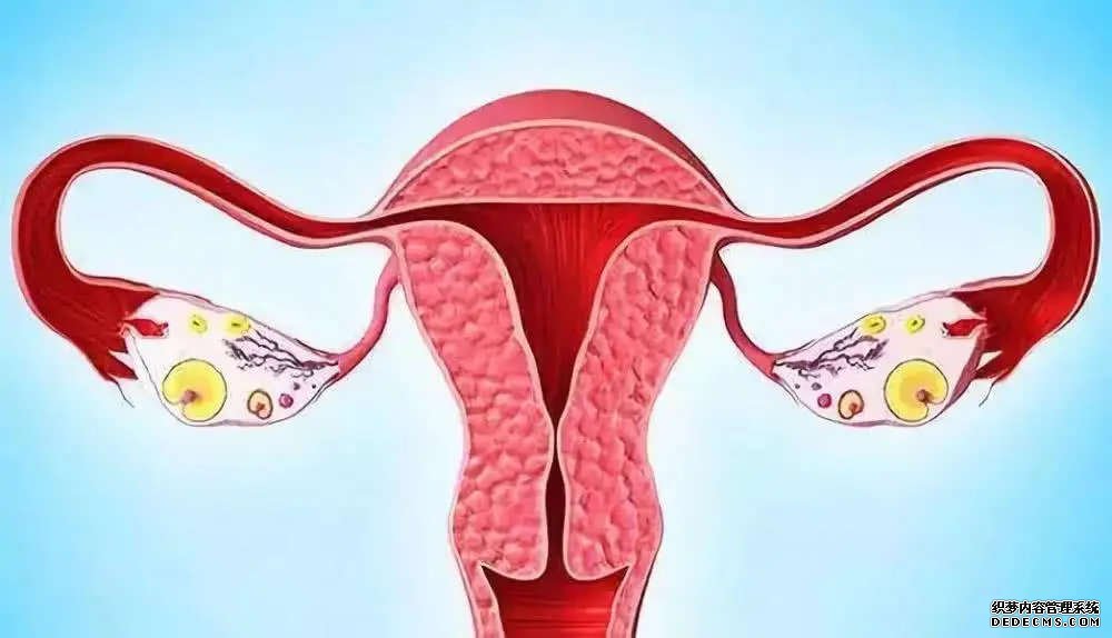 江苏找代怀 江苏育儿假有哪些新规？ ‘营口伊人26周四维看男女准么’