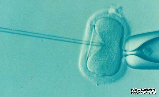 上海专业代孕 2022试管助孕指南：上海试管费用大概多少钱啊？ ‘胎儿三个月图片怎样看彩超分别男女’