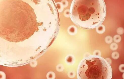 南京第三代试管婴儿多少钱?