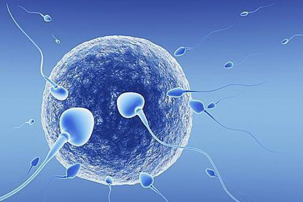 绍兴借卵试管过程 绍兴试管婴儿医院推荐哪家? ‘双顶径5.0股骨长3.8是男孩女孩’