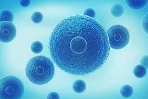 福州供卵试管 福州不孕不育较好医院有哪些? ‘四维男孩生殖器官图’