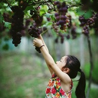 银川供卵试管 银川市妇幼保健院生殖医学中心 ‘营口伊人26周四维看男女准么’